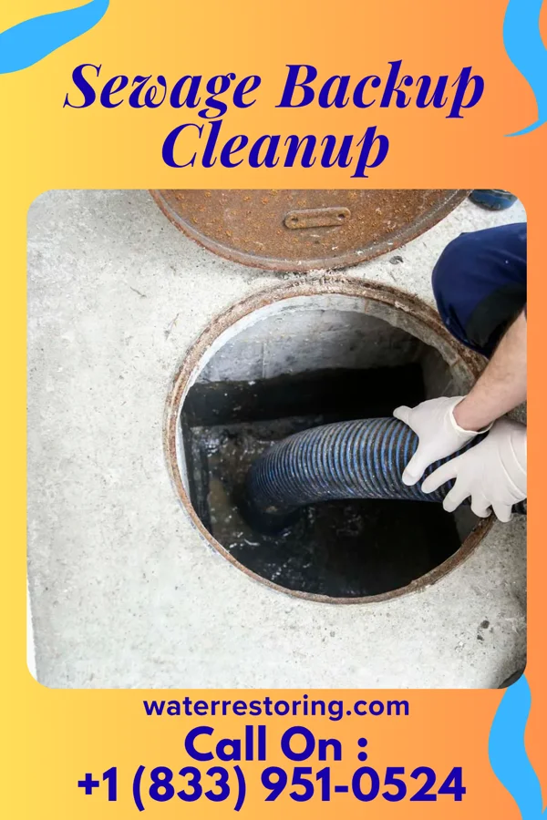 Sewage Backup Cleanup in Hico, TX